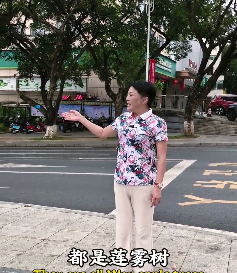 Walk through Wuzhishan in Hainan, China